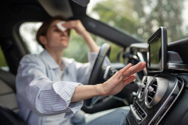 Best Air Conditioning Cleaning in Steelevle, IL
